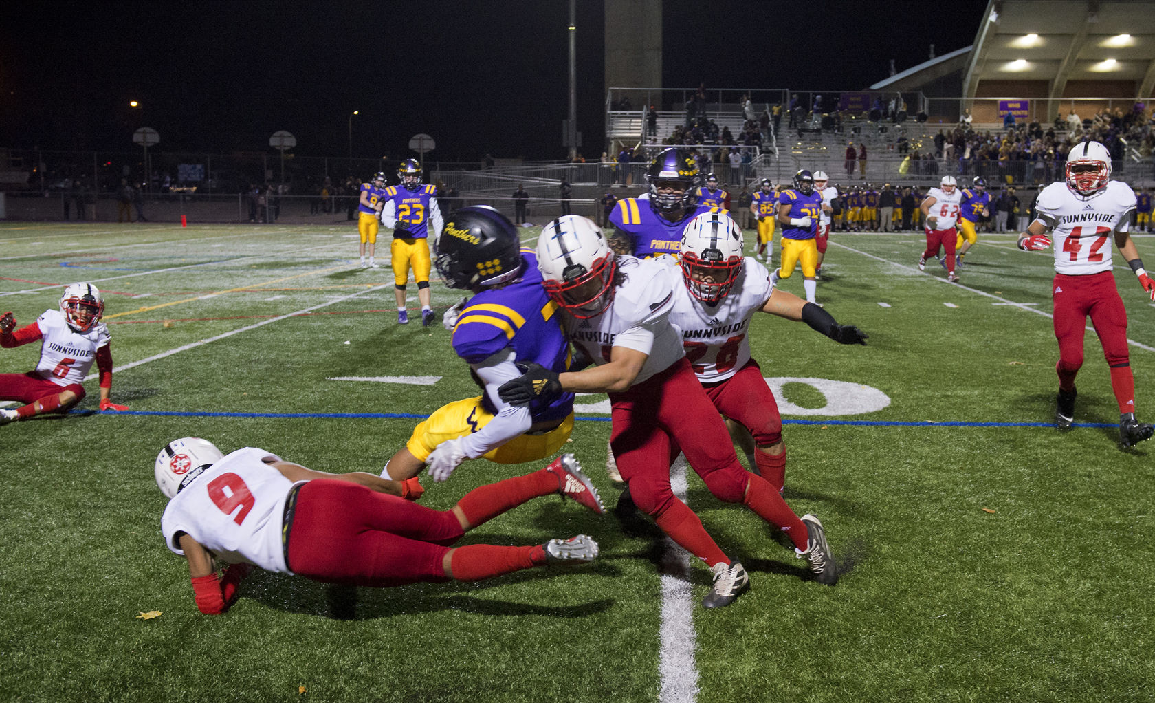 GRIZZLY DEFENSIVE CHARGE